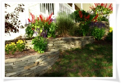Shrubs & Flowers in contained area around the home.